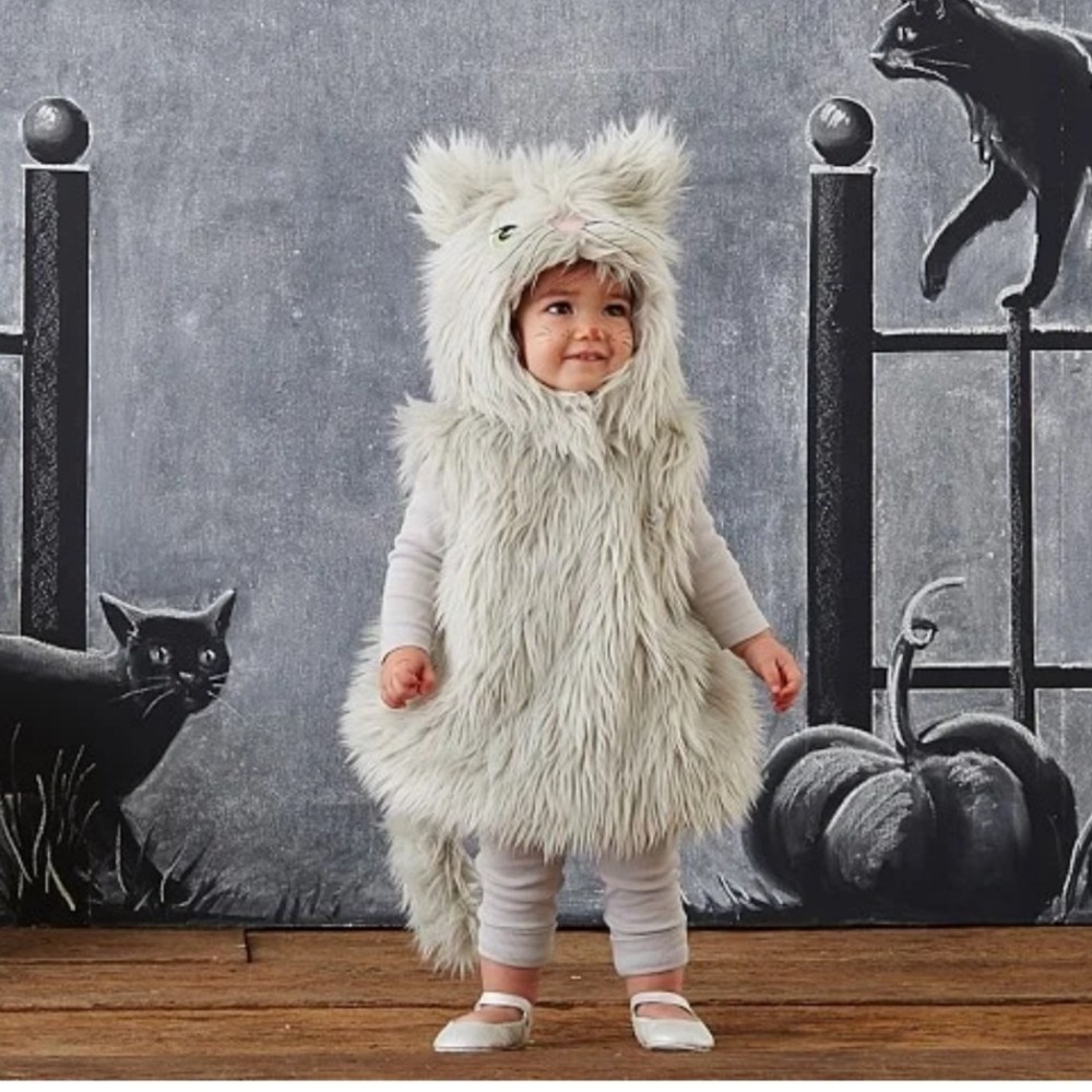 Pottery Barn Kids Fluffy Gray Cat Halloween Costume 2T-3T Hooded Cute NWOT